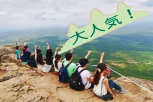 <span style="color:#32cd32"><strong>2025年開催中！</strong></span><br>【AA-3】<span style="color: #cc3300;"><strong>プライベートツアー</strong></span><br>ベンメリア遺跡→コーケー遺跡→プリアヴィヒア遺跡+（<span style="color: #0000ff;"><strong>バンテアイスレイ遺跡</strong></span>)、１日ツアー<span style="color:#32cd32"><strong>Free Wifi</strong></span><br><br>　　「特価キャンペーン！」　<br>車とガイドの料金表（<span style="color:#32cd32"><strong>大人1名あたり</strong></span>）<br>1名様「<span style="color: #1e90ff;"><s>300$</s></span>→<span style="color: #cc3300;"><strong>210$</strong></span>」<br>2名様「<span style="color: #1e90ff;"><s>150$</s></span>→<span style="color: #cc3300;"><strong>115＄</strong></span>」<br>3名様「<span style="color: #1e90ff;"><s>120$</s></span>→<span style="color: #cc3300;"><strong>90$</strong></span>」<br>4名様「<span style="color: #1e90ff;"><s>100$</s></span>→<span style="color: #cc3300;"><strong>80$</strong></span>」<br><br>もっと見る≫≫