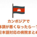カンボジア・アンコールワットで調子が悪くなったら?日本語で対応してくれる病院と覚えておくべきこと・まとめ