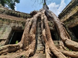 <span style="color:#32cd32"><strong>2025年開催中！</strong></span><br>【AA-1<span style="color: #cc3300;"><strong>B</strong></span>】プライベート<br>朝日鑑賞とアンコールワット→アンコールトム→タ・プローム遺跡→<span style="color:#CC3300"><strong>バンテアイースレイ遺跡</strong></span>+プノンバケーン山からの夕日、１日プライベートツアー、<br><br>　　「特価キャンペーン！」　<br>車とガイドの料金表（<span style="color:#32cd32"><strong>大人1名あたり</strong></span>）<br>1名様「<span style="color: #1e90ff;"><s>180$</s></span>→<span style="color: #cc3300;"><strong>120$</strong></span>」<br>2名様「<span style="color: #1e90ff;"><s>100$</s></span>→<span style="color: #cc3300;"><strong>65＄</strong></span>」<br>3名様「<span style="color: #1e90ff;"><s>80$</s></span>→<span style="color: #cc3300;"><strong>50$</strong></span>」<br>4名様「<span style="color: #1e90ff;"><s>60$</s></span>→<span style="color: #cc3300;"><strong>40$</strong></span>」<br>5名様～「<span style="color: #1e90ff;"><s>50$</s></span>→<span style="color: #cc3300;"><strong>35$～</strong></span>」<br><br>もっと見る≫≫