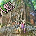 <span style="color:#32cd32"><strong>2026年開催中！<br></strong></span>【AA-21】<span style="color: #ff0000;"><strong>プライベートツアー</strong></span><br>朝日鑑賞から、アンコールワット・アンコールトム・タ・プロームを巡る午前の観光に、午後はベンメリア遺跡とコーケー、1日プライベートツアーです。5時～20時<br><br>　　「特価キャンペーン！」　<br>車とガイドの料金表（<span style="color:#32cd32"><strong>大人1名あたり</strong></span>）<br>1名様「<span style="color: #1e90ff;"><s>250$</s></span>→<span style="color: #cc3300;"><strong>190$</strong></span>」<br>2名様「<span style="color: #1e90ff;"><s>150$</s></span>→<span style="color: #cc3300;"><strong>100＄</strong></span>」<br>3名様「<span style="color: #1e90ff;"><s>100$</s></span>→<span style="color: #cc3300;"><strong>75$</strong></span>」<br>4名様「<span style="color: #1e90ff;"><s>90$</s></span>→<span style="color: #cc3300;"><strong>60$</strong></span>」<br>5名様「<span style="color: #1e90ff;"><s>80$</s></span>→<span style="color: #cc3300;"><strong>50$</strong></span>」<br>もっと見る≫≫