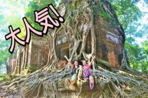 <span style="color:#32cd32"><strong>2026年開催中！<br></strong></span>【AA-21】<span style="color: #ff0000;"><strong>プライベートツアー</strong></span><br>朝日鑑賞から、アンコールワット・アンコールトム・タ・プロームを巡る午前の観光に、午後はベンメリア遺跡とコーケー、1日プライベートツアーです。5時～20時<br><br>　　「特価キャンペーン！」　<br>車とガイドの料金表（<span style="color:#32cd32"><strong>大人1名あたり</strong></span>）<br>1名様「<span style="color: #1e90ff;"><s>250$</s></span>→<span style="color: #cc3300;"><strong>190$</strong></span>」<br>2名様「<span style="color: #1e90ff;"><s>150$</s></span>→<span style="color: #cc3300;"><strong>100＄</strong></span>」<br>3名様「<span style="color: #1e90ff;"><s>100$</s></span>→<span style="color: #cc3300;"><strong>75$</strong></span>」<br>4名様「<span style="color: #1e90ff;"><s>90$</s></span>→<span style="color: #cc3300;"><strong>60$</strong></span>」<br>5名様「<span style="color: #1e90ff;"><s>80$</s></span>→<span style="color: #cc3300;"><strong>50$</strong></span>」<br>もっと見る≫≫